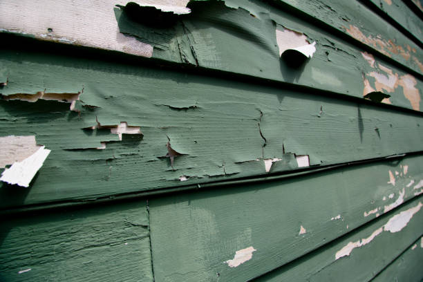 Southeast Arcadia, FL Siding Installation & Repair Company